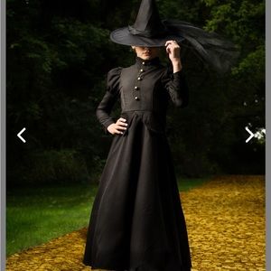 Halloween costume premium witch outfit
